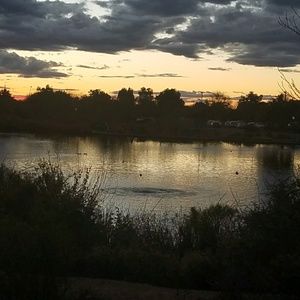 Meet your Posher, Lynn